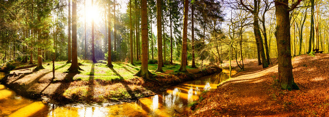 Beautiful autumn forest with stream and bright sun shining through the trees