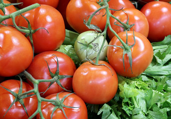 green and red tomatoes for sale in the greengrocer shop