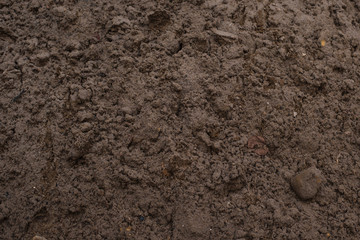 Sandy loam - soil background, texture