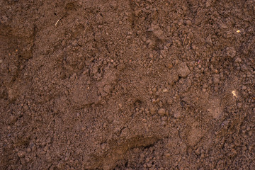 Sandy loam - soil background, texture - obrazy, fototapety, plakaty