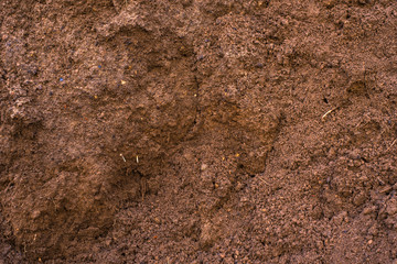 Sandy loam - soil background, texture