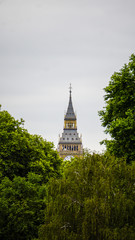 Fototapeta premium Big Ben above the tree top