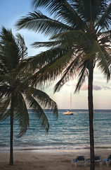 Naklejka na ściany i meble Sunset in tropical beach with boat and palms