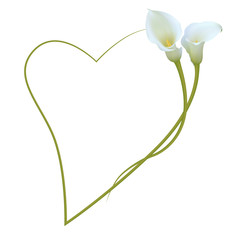 Realistic white calla lily romantic frame, heart. "Admire your beauty".