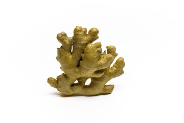 Root ginger isolated on a white studio background.