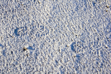 shoe boots footprints in the snow