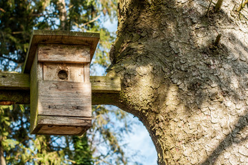 Bird house on a tree branch