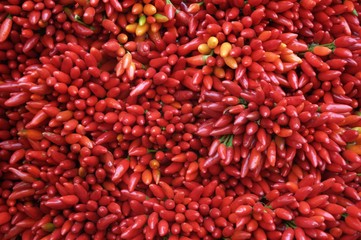 spicy chili peppers on the market bench