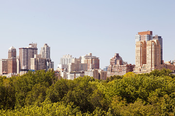 Obraz premium A rare view of NYC skyline from central park