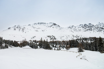 Fototapeta na wymiar Winter view on the valley in Swiss Alps, Verbier, Switzerland