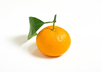 isolated orange with green leaf