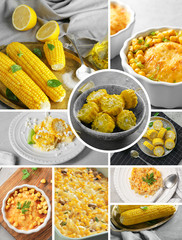 Collage with different tasty dishes of corn