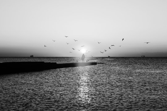 Fototapeta Autumn seascape at dawn. Silhouette of girl on pier. Flock of seagulls flying over sea. Rising sun above horizon. Black and white photo.
