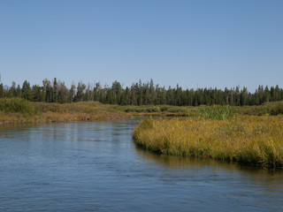 Fototapeta premium Henry's Fork Snake River 7773