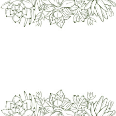 Hand drawn succulent frame on whit background. Vector illustration.