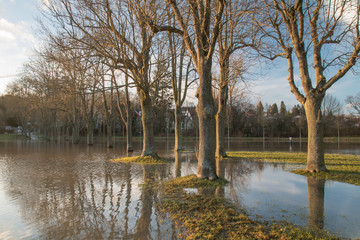 Flooding in the meadows of rednitz river, Fuerth, Bavaria, Germany, Europe