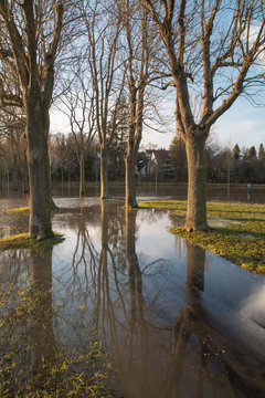 Flooding in the meadows of rednitz river, Fuerth, Bavaria, Germany, Europe