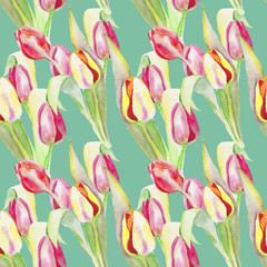 Stylized tulips flowers illustration. watercolor - 187260862