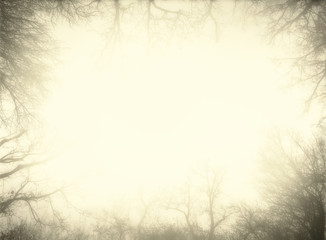 Artistic sepia frame made from bare trees of a misty forest. Contains wide empty area for text.