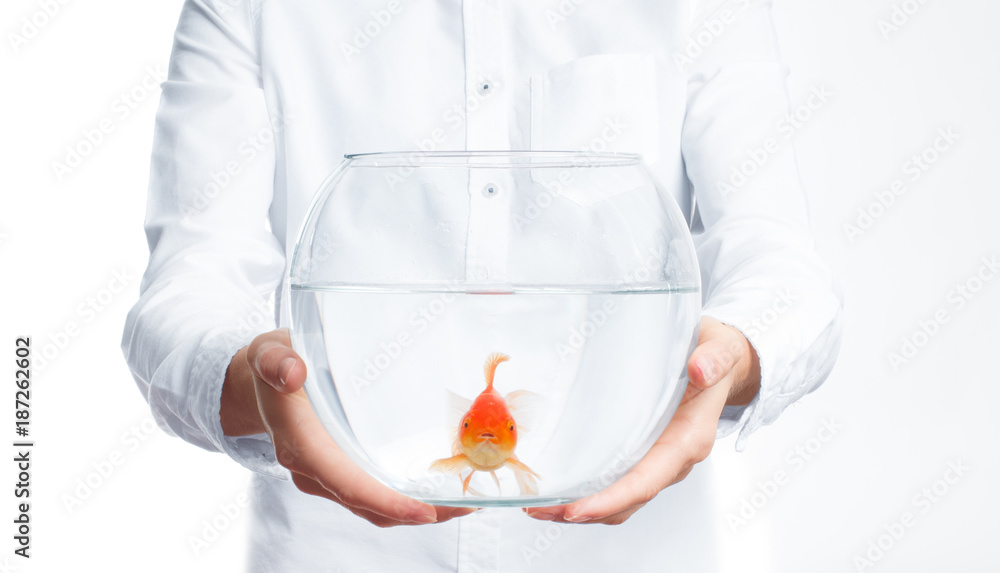 Wall mural woman holding fishbowl with gold fish