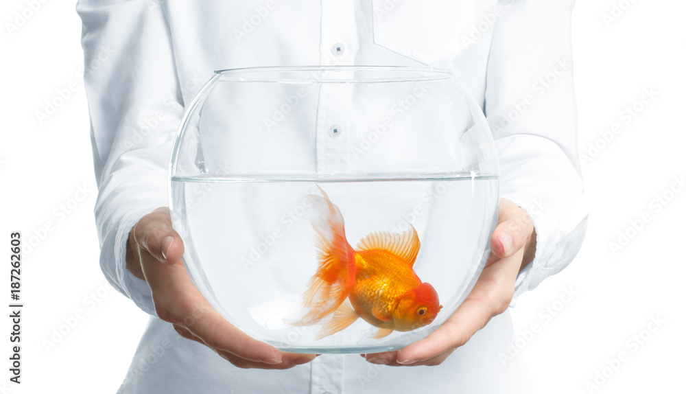 Wall mural woman holding fishbowl with gold fish