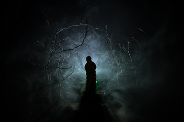 Alone girl with the light in the forest at night, or blue toned night forest at the fog time....