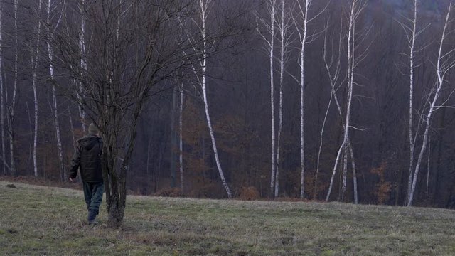 Man goes from a lone tree into birch forest - (4K)