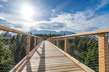 Mountain walk timber footpath sky trees winter sun bridge 