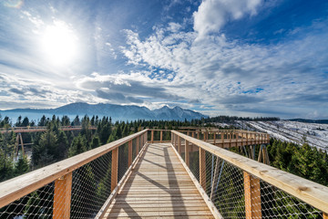 Fototapeta na wymiar Mountain walk timber footpath sky trees winter sun bridge 