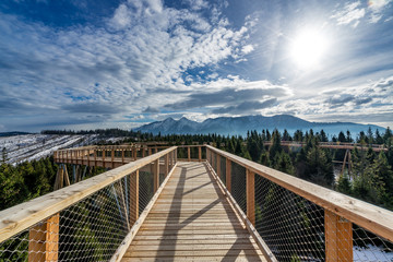 Fototapeta premium Mountain walk timber footpath sky trees winter sun bridge 