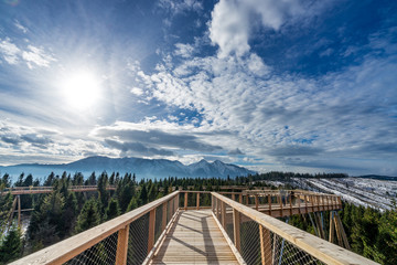 Fototapeta na wymiar Mountain walk timber footpath sky trees winter sun bridge 