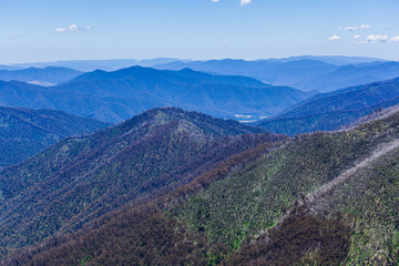 Obraz premium Beautiful Australian Alps, Victoria, Australia