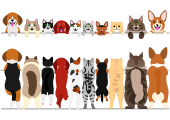 standing small dogs and cats front and back border set