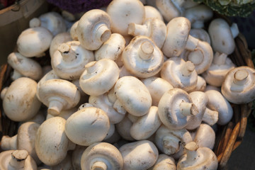 Assortment of fresh fruits and vegetables on the market