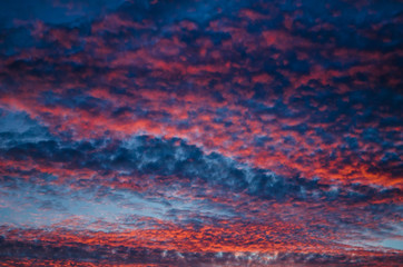 Fototapeta premium Red and Blue Clouds at Sunset