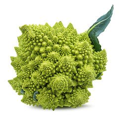 Roman cauliflower isolated on white background with clipping path