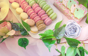  Closeup photo of tasty desert sweet macarons set biscuits  on a wedding festival , ceremony . Table of fourchette . decorated with pink roses and green leafs.