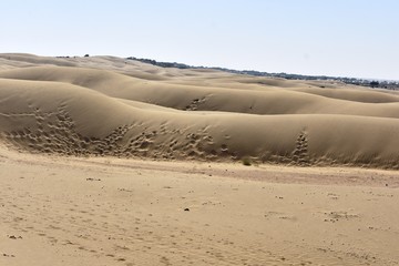 sam sand dunes in thar desert jaisalmer rajasthan india
