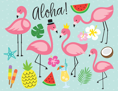 Cute flamingo with tropical summer vector illustration graphic elements such as pineapple, watermelon, hibiscus, coconut, pina colada, etc.

