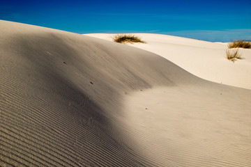 White Sands 13
