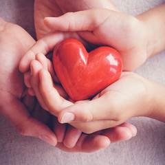 adult and child hands holiding red heart, health care, love, donate, insurance and family concept