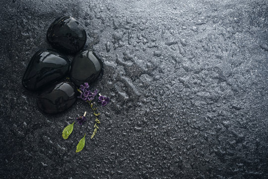 Black Stone With Green Leaf And Smallthe  Cute Purple Flower Decoration On Stone Plate Background With Copy Space For Spa And Meditation Concept Background