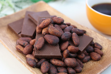 カカオ豆とチョコレート
