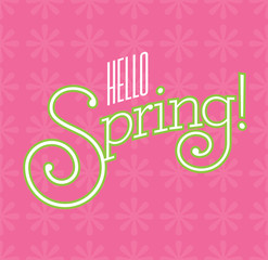Hello Spring Vector Design on flower background.
Fun custom drawn text with fancy swash letters and bold outline on pink background with flower pattern.