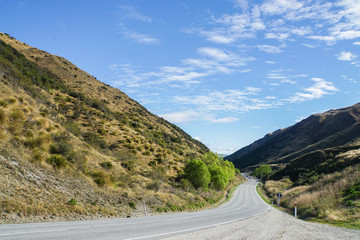 curve road along green valley in New Zealand