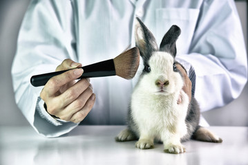 Cosmetics test on rabbit animal, Scientist or pharmacist do research chemical ingredients test on animal in laboratory, Cruelty free and stop animal abuse concept.