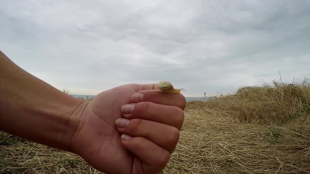Snail on Hand.