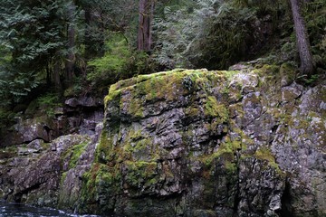 Capilano Cliff