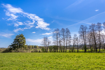 Fototapeta na wymiar Grass field and blue sky, green spring landscape