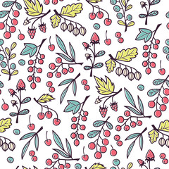 Seamless Vector Pattern with Hand Drawn Doodle Berries.